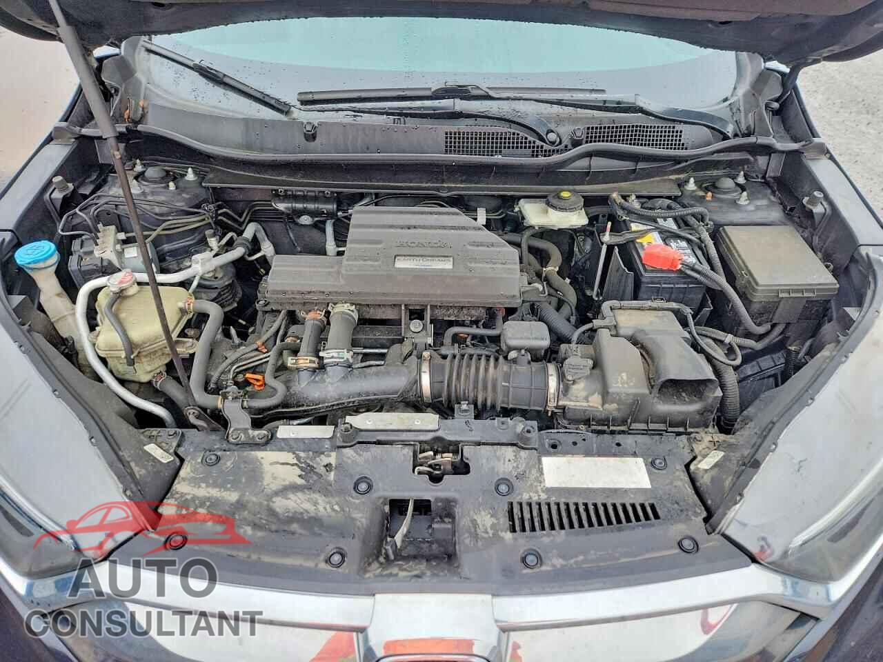 HONDA CRV 2019 - 2HKRW2H82KH622326