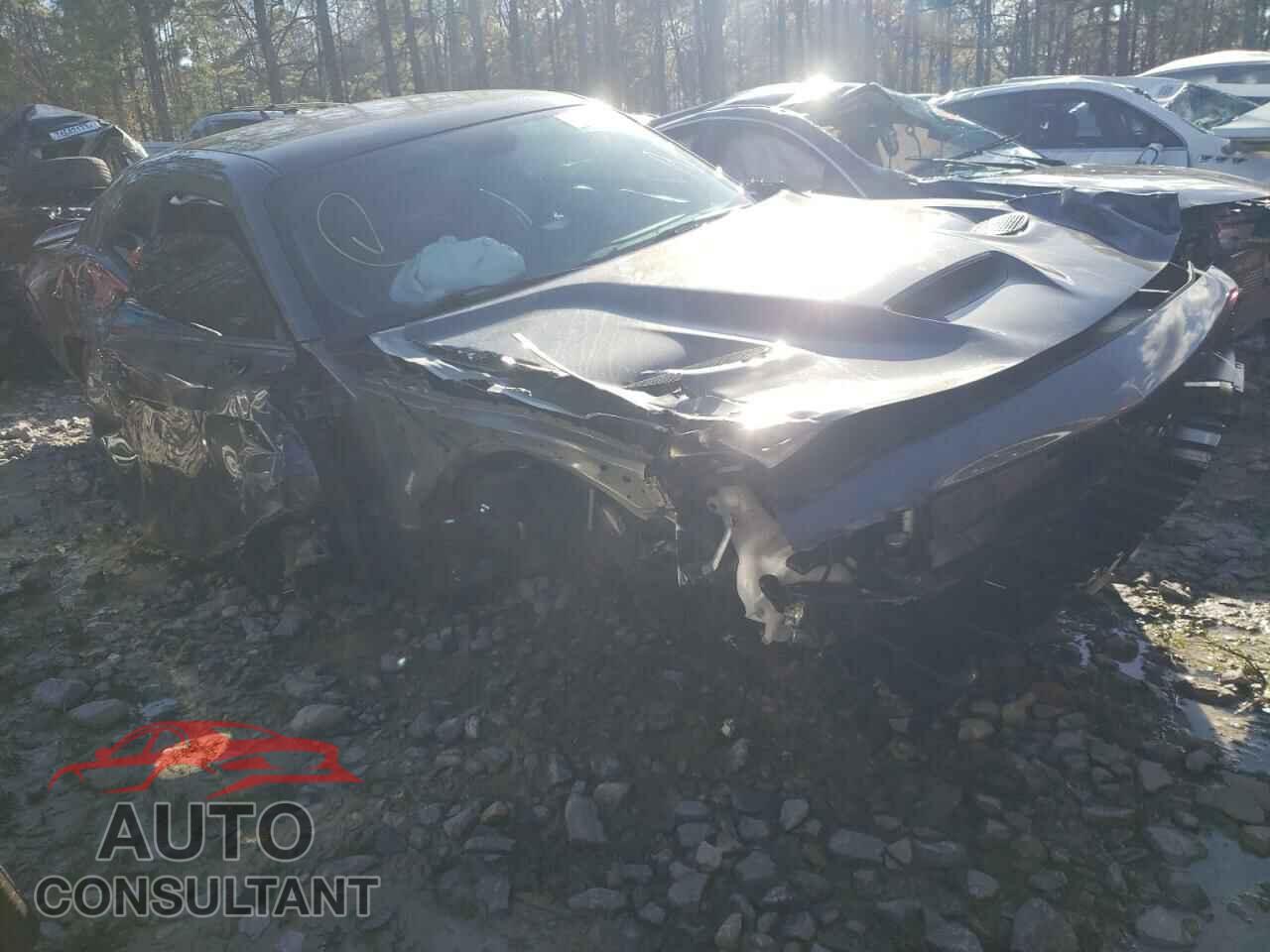 DODGE CHALLENGER 2019 - 2C3CDZFJ3KH724046