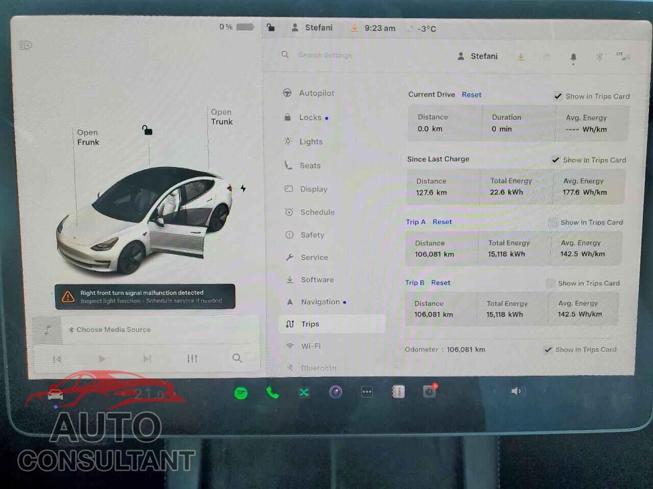 TESLA MODEL 3 2021 - 5YJ3E1EA3MF031983
