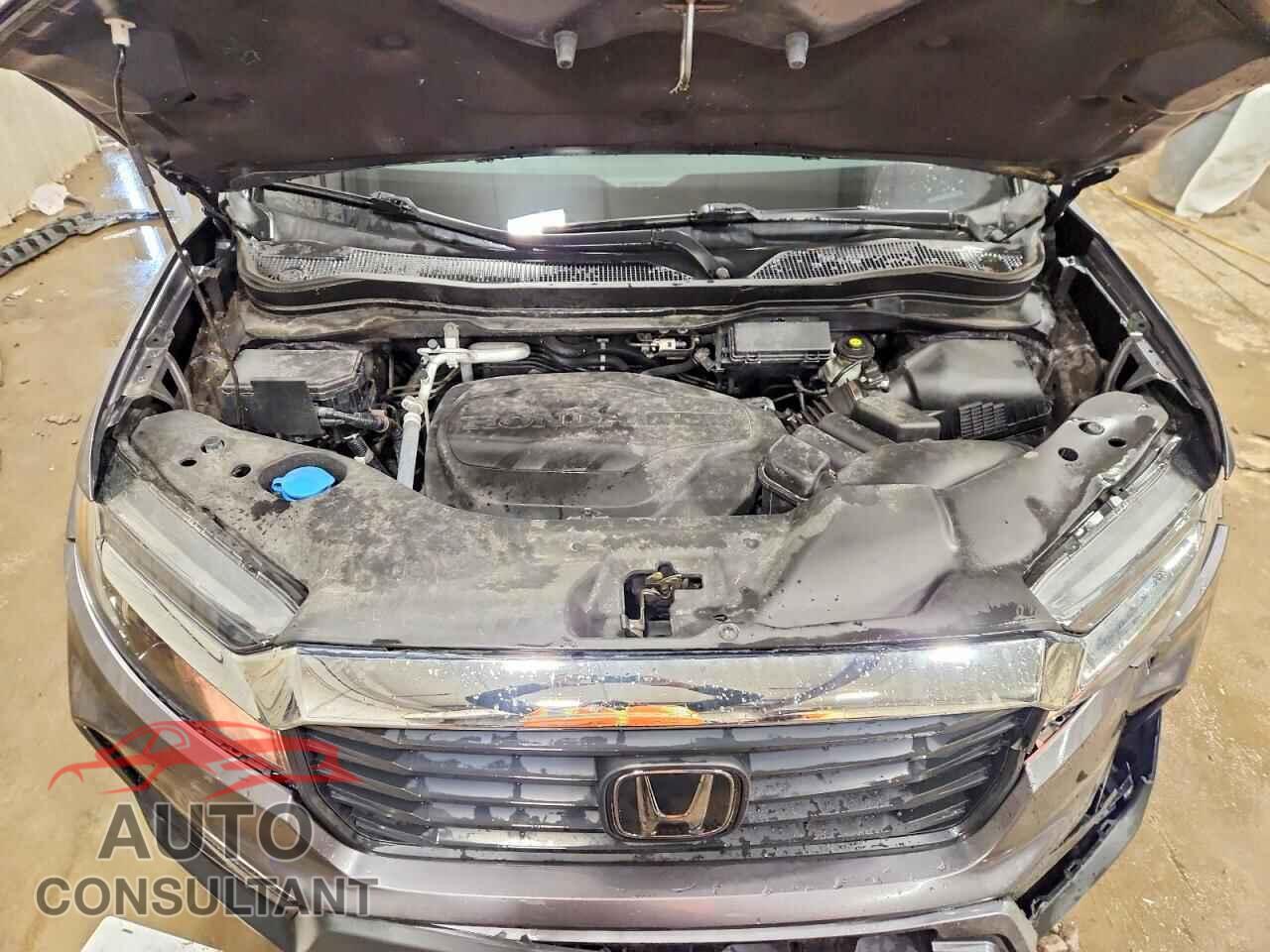 HONDA RIDGELINE 2021 - 5FPYK3F59MB013152