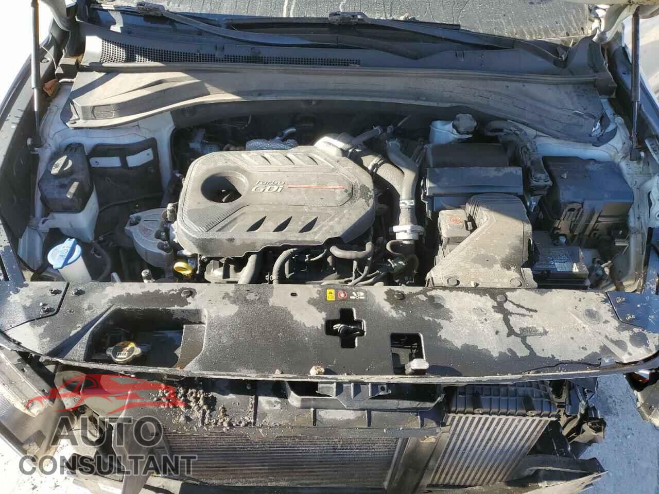 HYUNDAI SANTA FE 2020 - 5NMS5CAA3LH157108