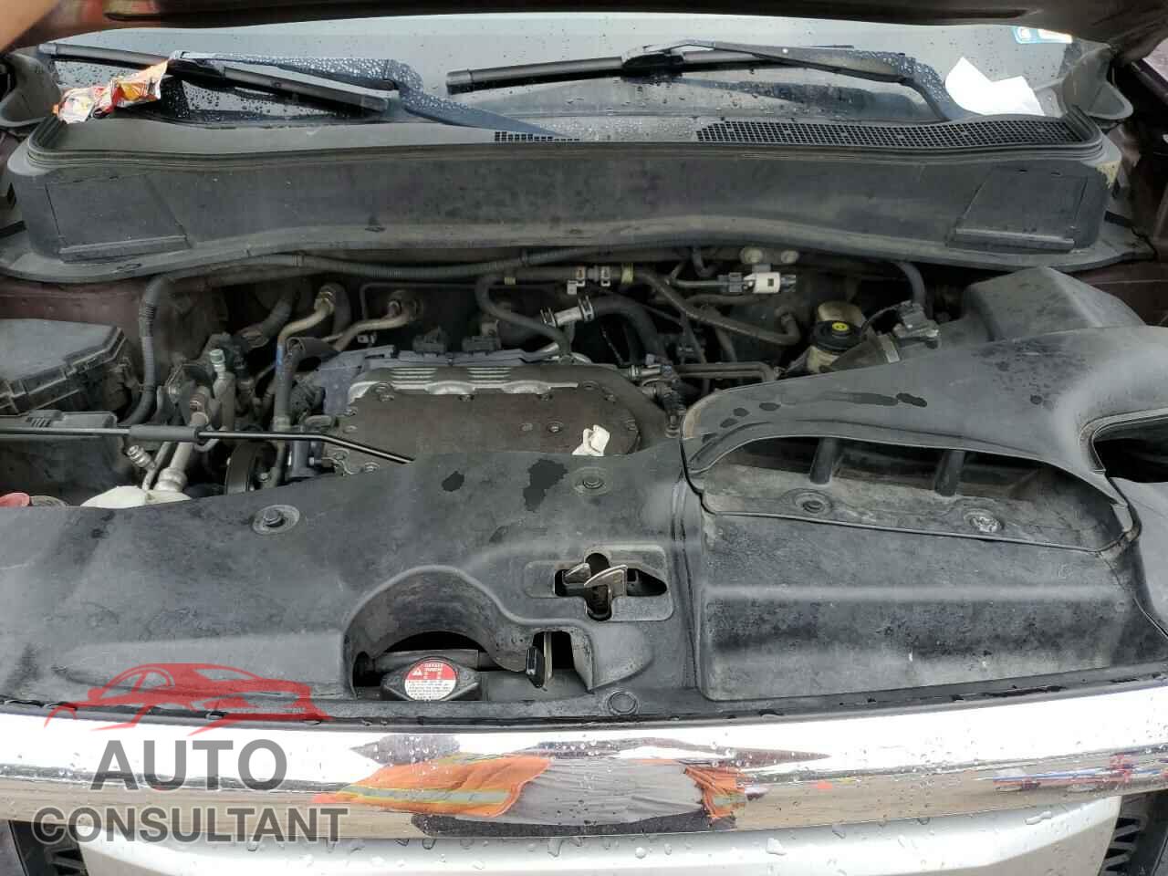 HONDA PILOT 2010 - 5FNYF3H59AB009043