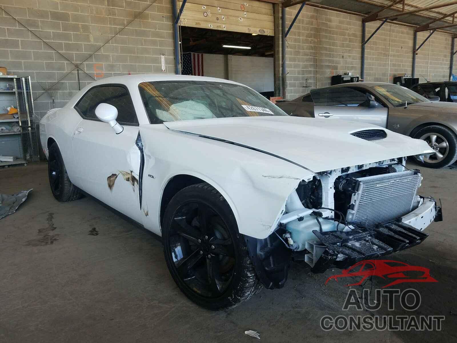 DODGE CHALLENGER 2019 - 2C3CDZBT0KH641438