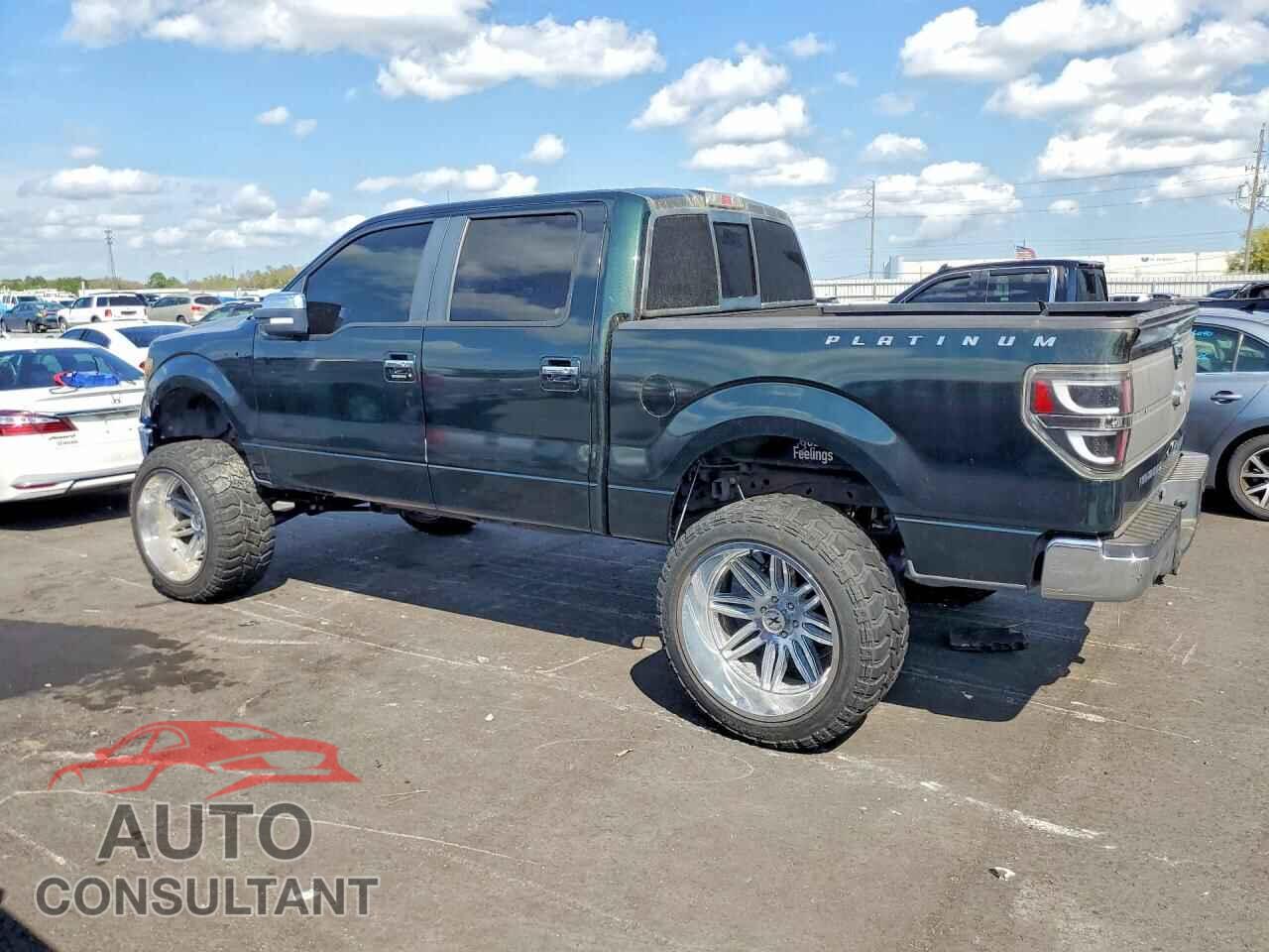 FORD F150 2014 - 1FTFW1ET2EFA54681