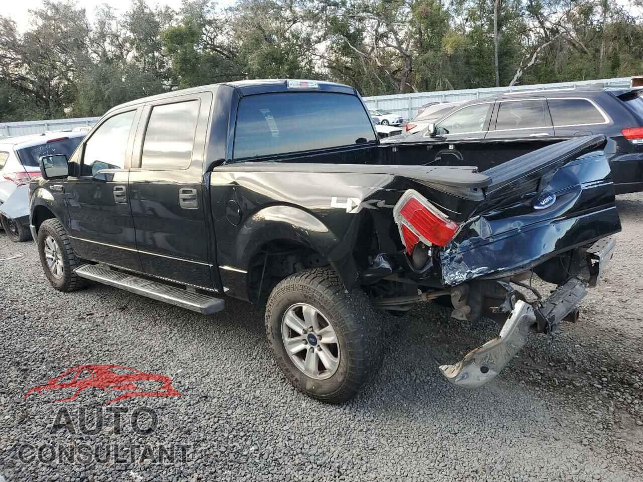 FORD F-150 2010 - 1FTEW1E80AFB04043