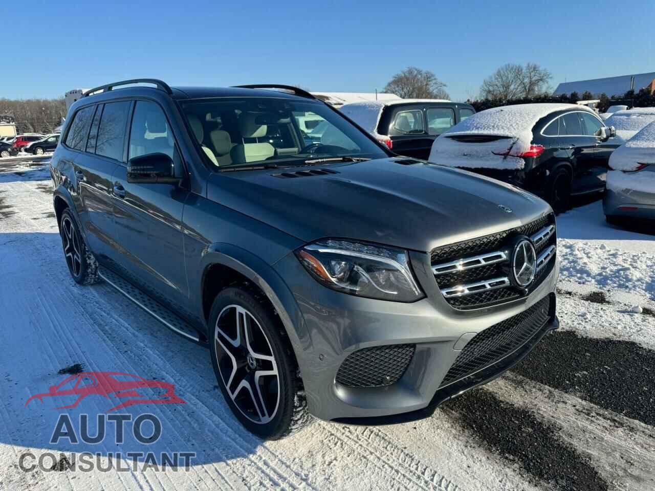 MERCEDES-BENZ GLS-CLASS 2019 - 4JGDF7DE2KB239390