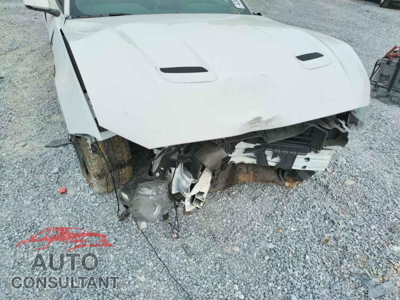 FORD MUSTANG 2019 - 1FA6P8CF0K5120087