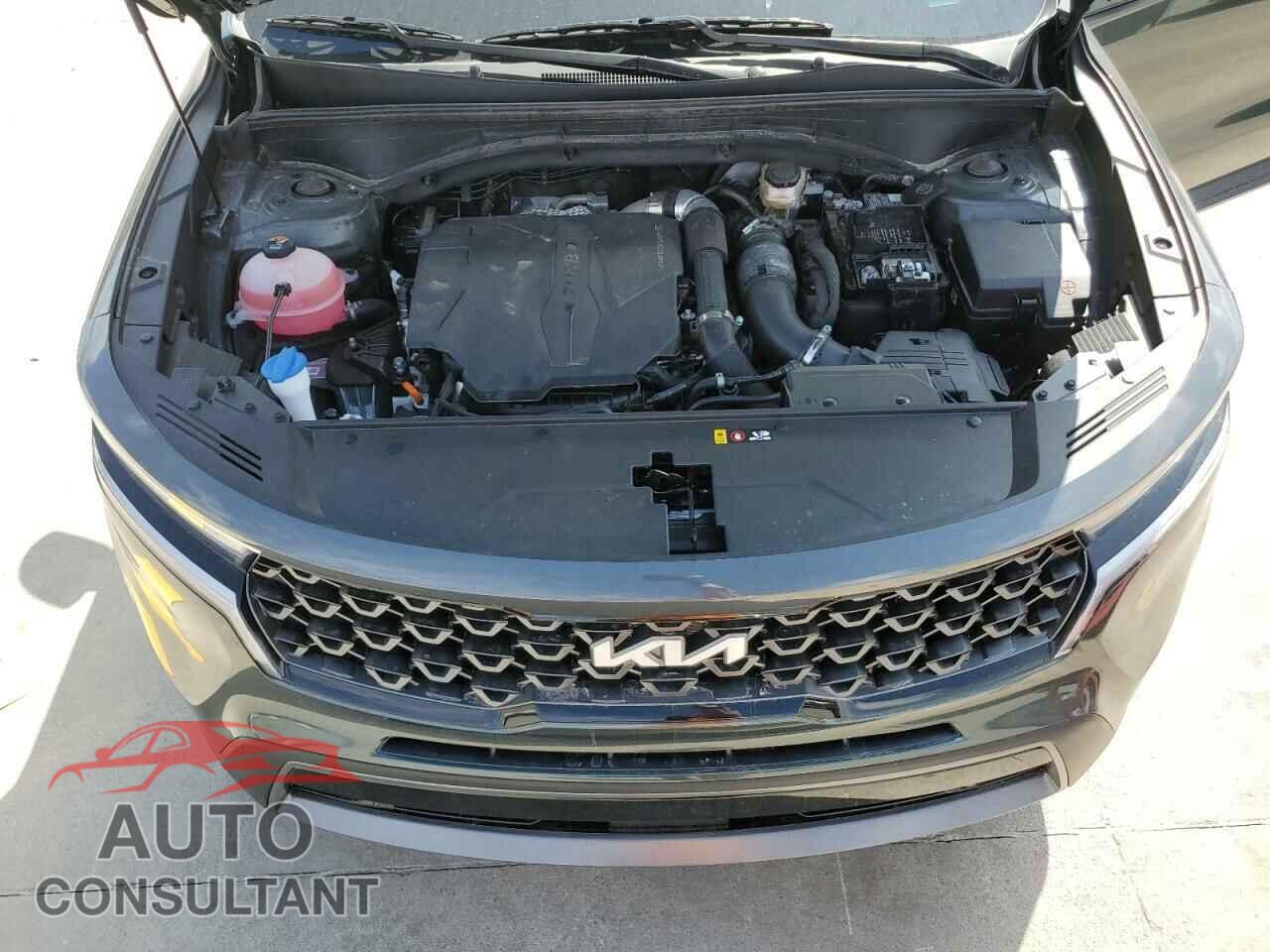 KIA SORENTO 2023 - 5XYRHDLF9PG203061