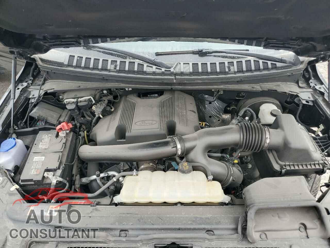 FORD EXPEDITION 2019 - 1FMJU1LT2KEA79175