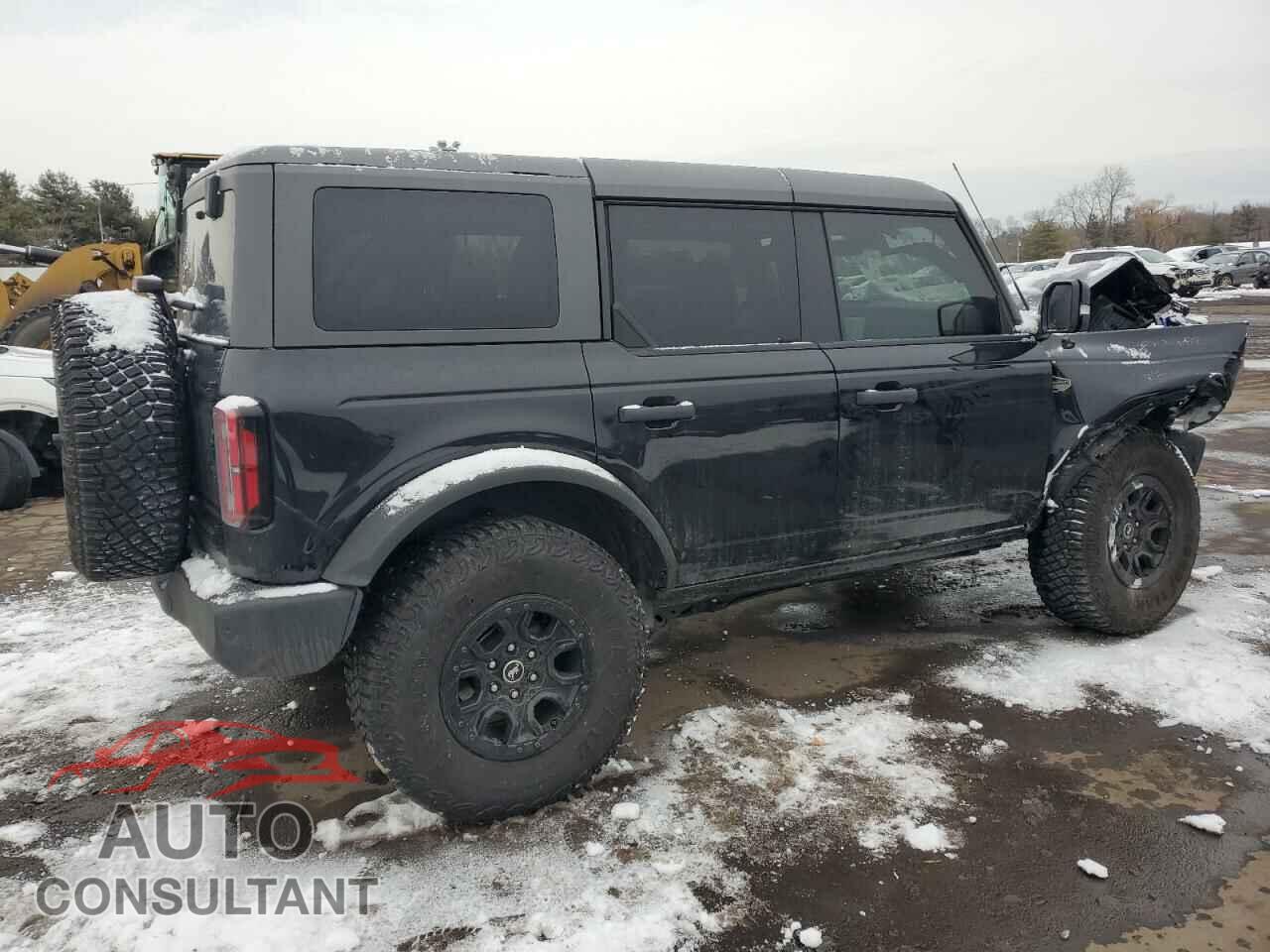 FORD BRONCO WIL 2024 - 1FMEE2BP2RLA72211