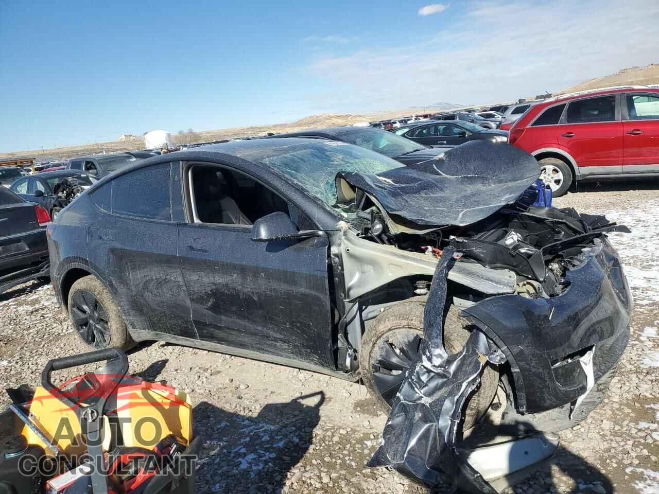 TESLA MODEL Y 2024 - 7SAYGDEE5RF114359
