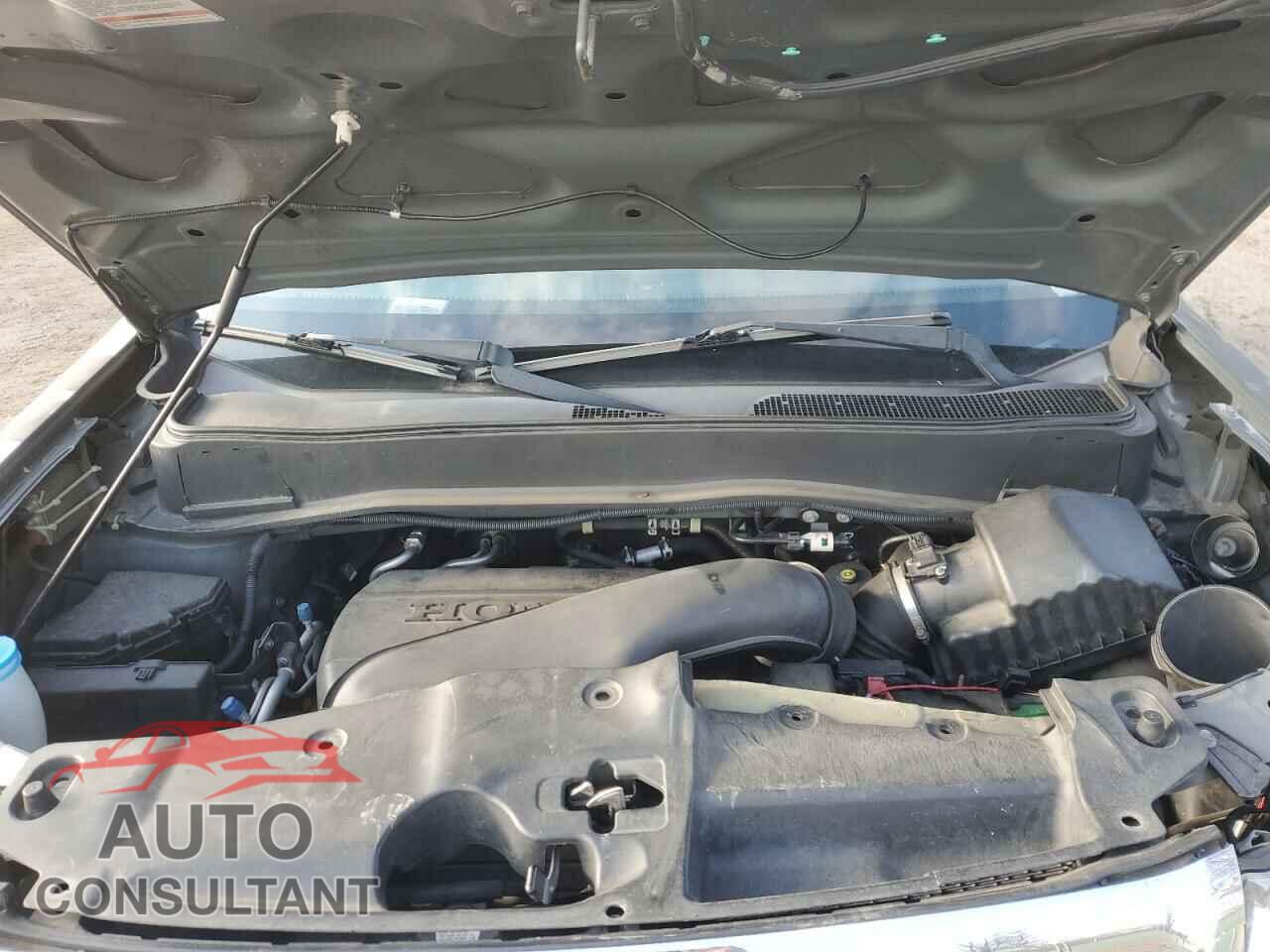 HONDA PILOT 2009 - 5FNYF48509B045088