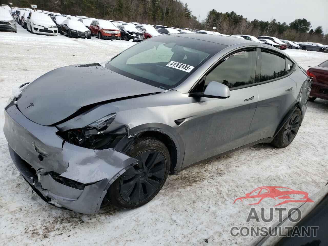 TESLA MODEL Y 2024 - 7SAYGAEE4RF199838