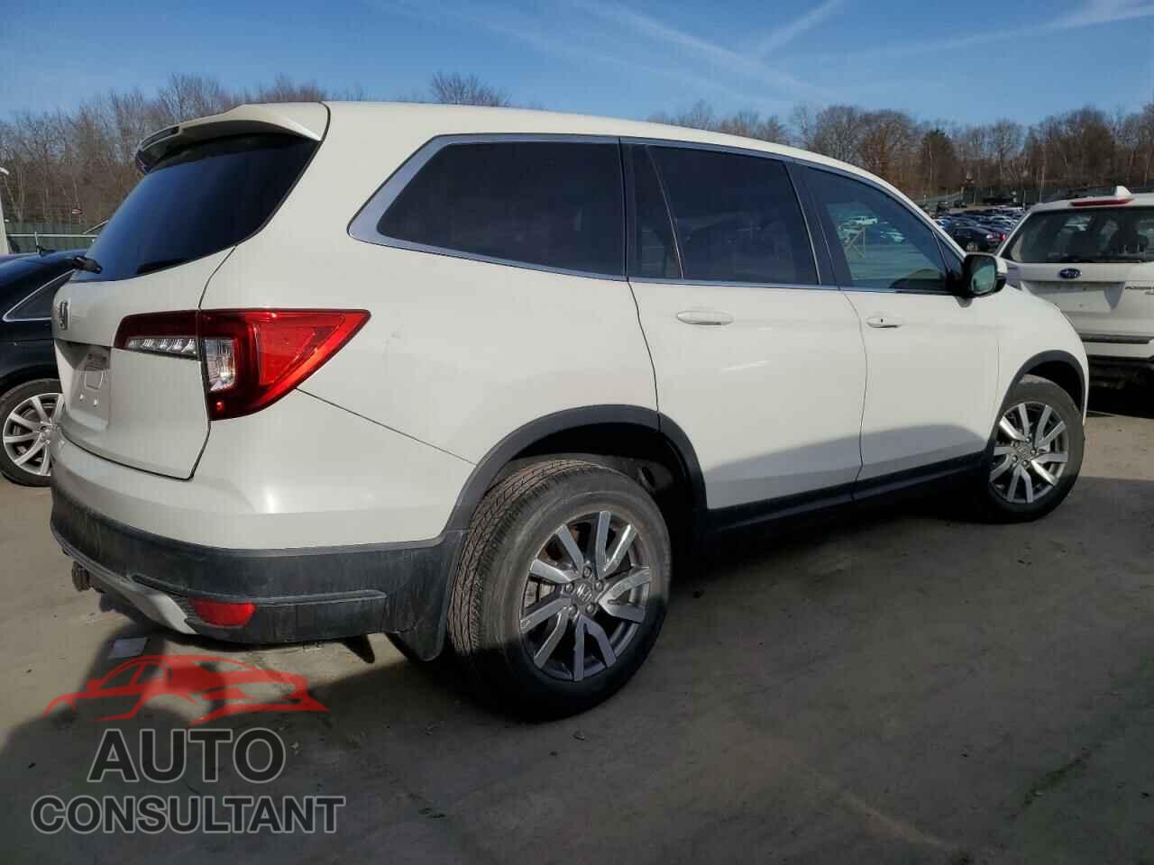 HONDA PILOT 2019 - 5FNYF5H56KB030039