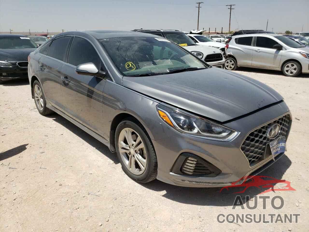 HYUNDAI SONATA 2019 - 5NPE34AF4KH762535