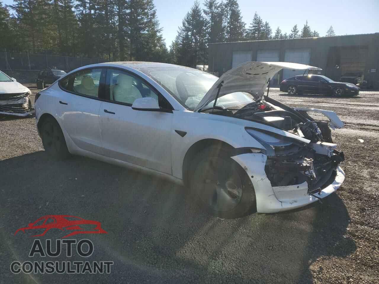 TESLA MODEL 3 2021 - 5YJ3E1EA5MF928934