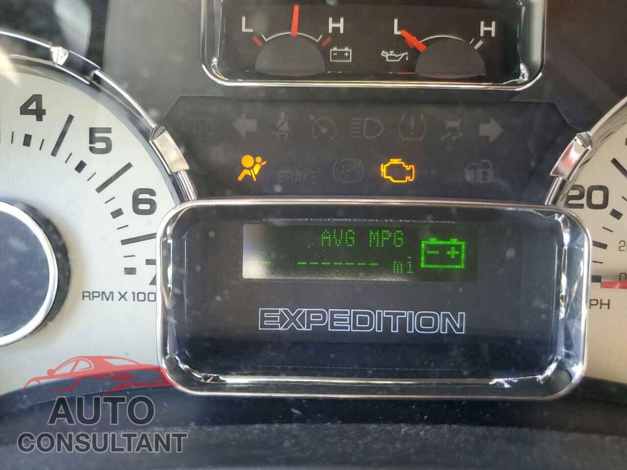 FORD EXPEDITION 2009 - 1FMFU17569EB20662
