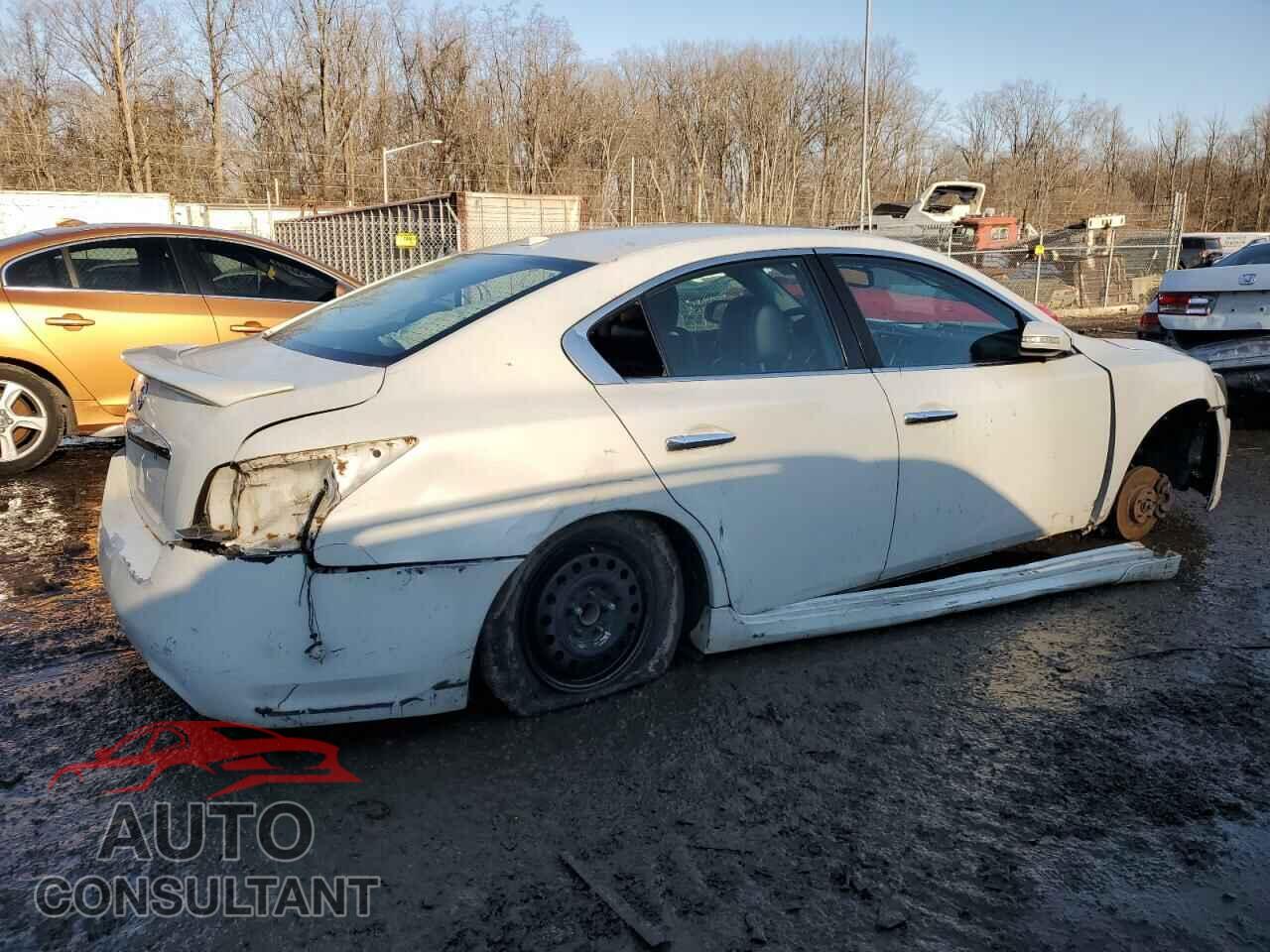NISSAN MAXIMA 2009 - 1N4AA51EX9C803943