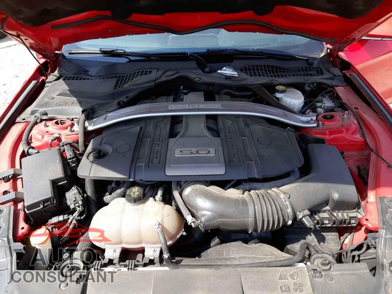 FORD MUSTANG 2019 - 1FATP8FF1K5104804