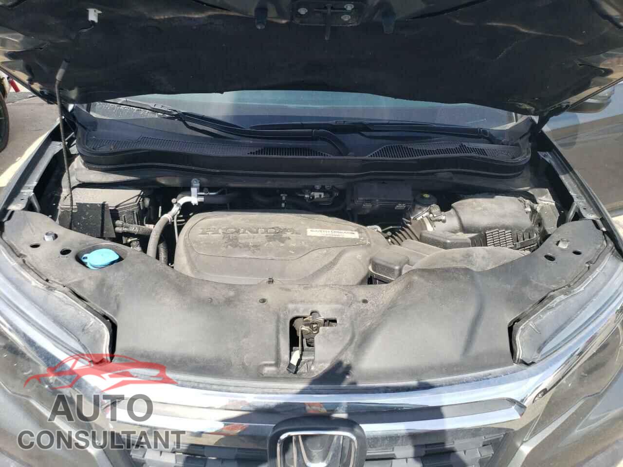 HONDA RIDGELINE 2019 - 5FPYK3F67KB022762