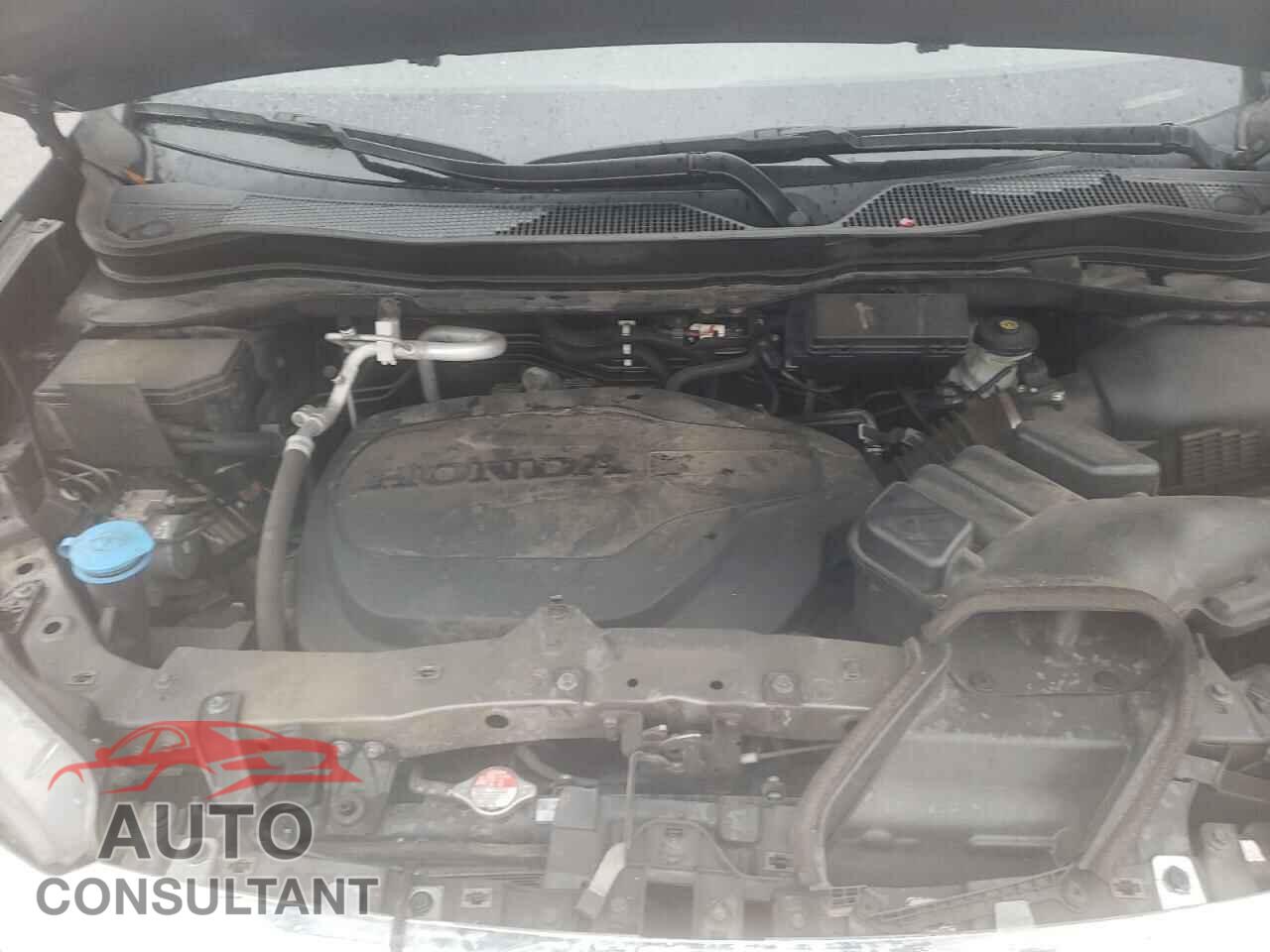 HONDA PILOT 2021 - 5FNYF5H58MB024424