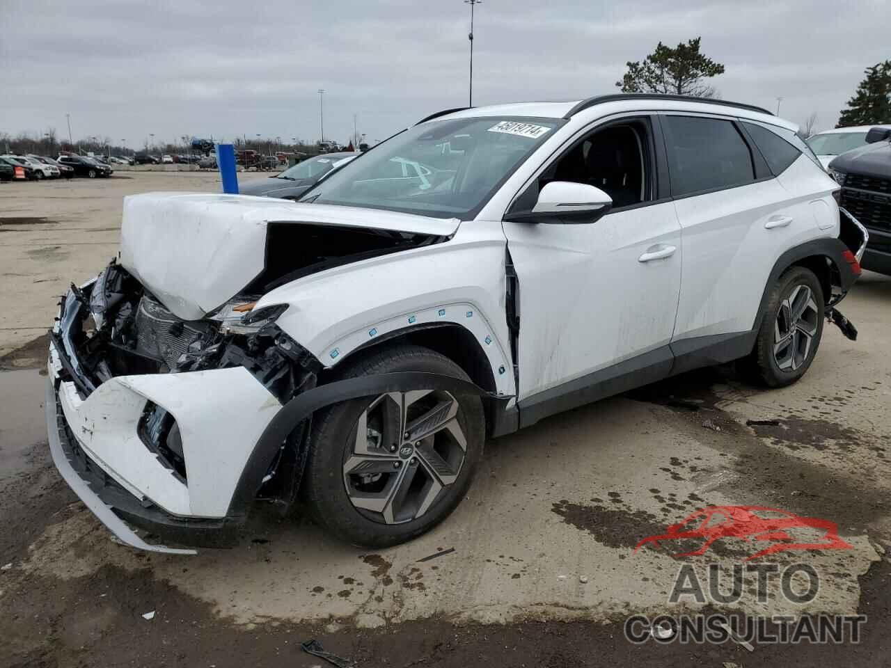 HYUNDAI TUCSON 2024 - 5NMJFCDEXRH372436