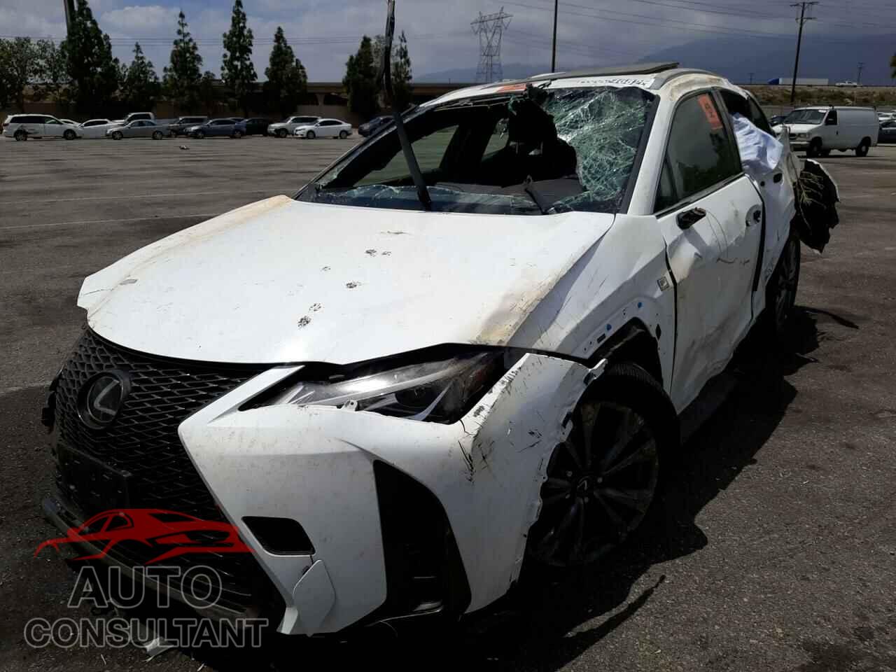 LEXUS UX 200 2019 - JTHY3JBH1K2006771