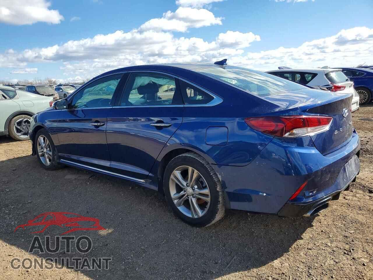 HYUNDAI SONATA 2019 - 5NPE34AF6KH769745