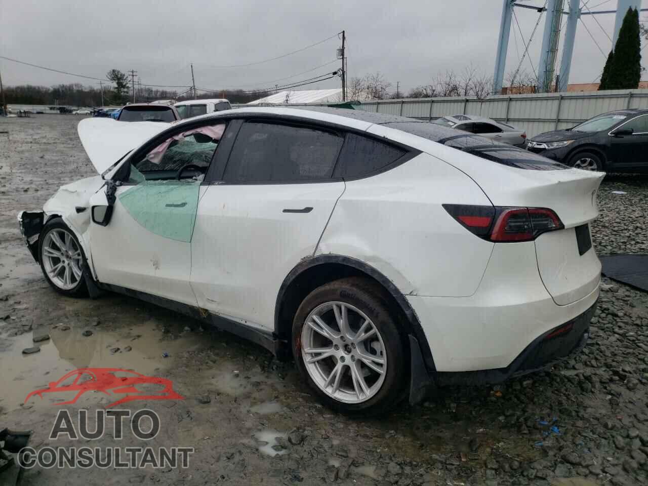 TESLA MODEL Y 2023 - 7SAYGDEE1PF804462