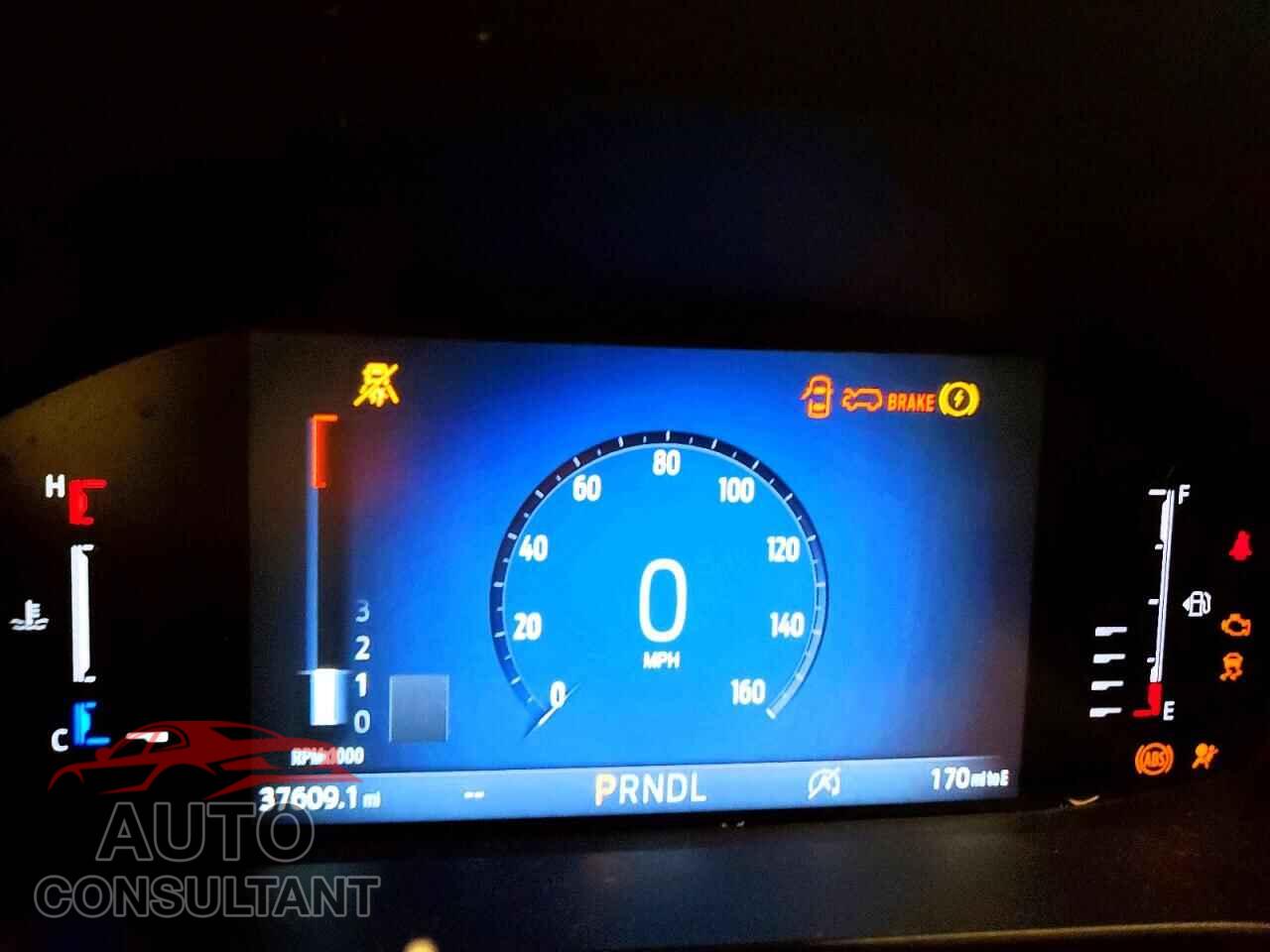 FORD ESCAPE 2024 - 1FMCU9MN6RUB02416