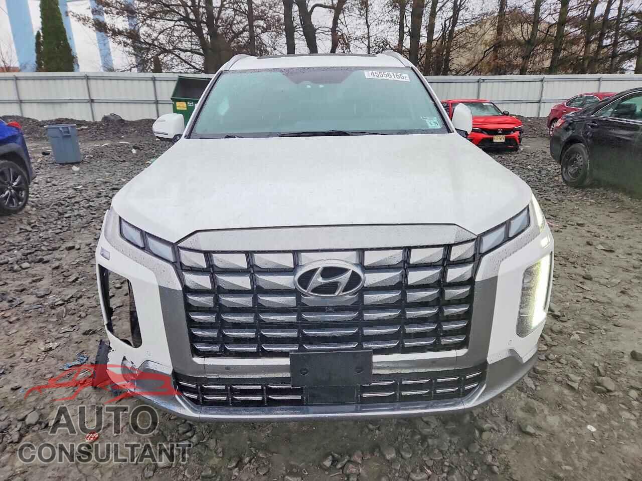HYUNDAI PALISADE 2024 - KM8R7DGEXRU700802