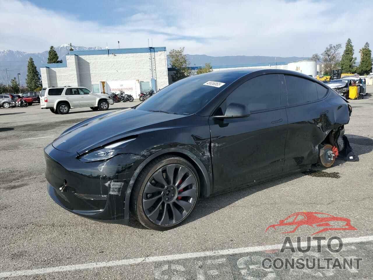 TESLA MODEL Y 2024 - 7SAYGDEF6RF058490