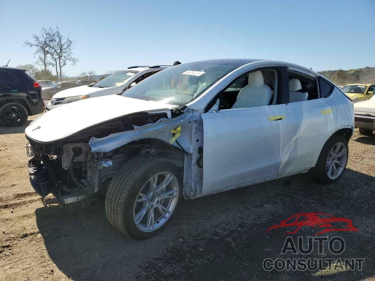 TESLA MODEL Y 2022 - 7SAYGAEE8NF559588