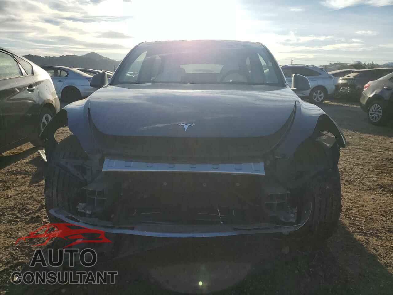 TESLA MODEL Y 2021 - 5YJYGDEF9MF246622
