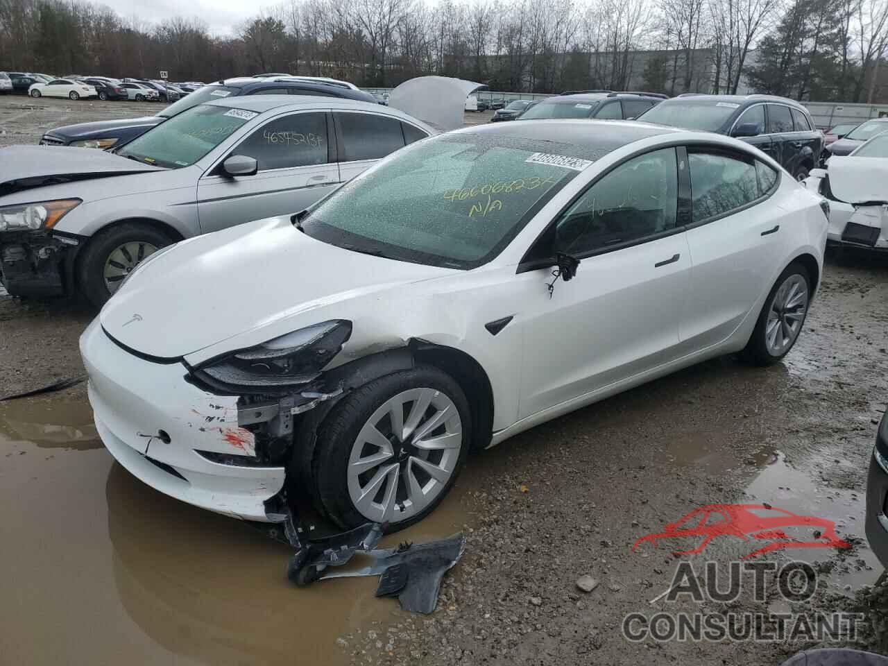 TESLA MODEL 3 2022 - 5YJ3E1EB2NF290149
