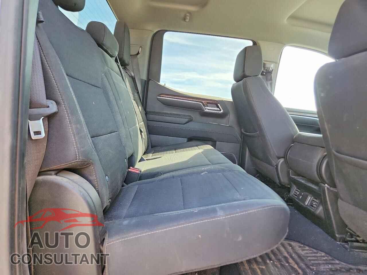 CHEVROLET SILVERADO 2023 - 1GCUDDED1PZ220343