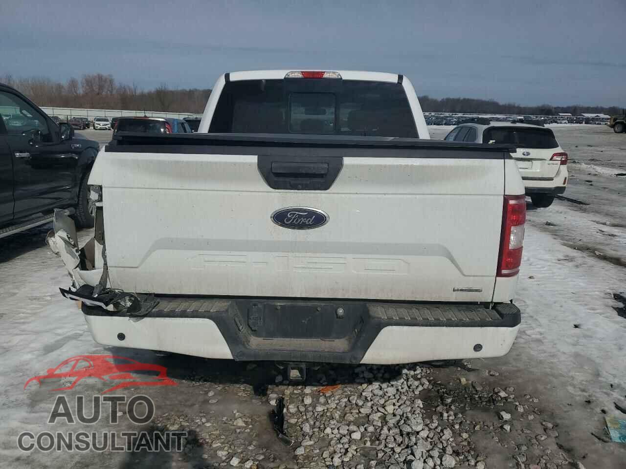 FORD F-150 2020 - 1FTEW1EP1LFB77996