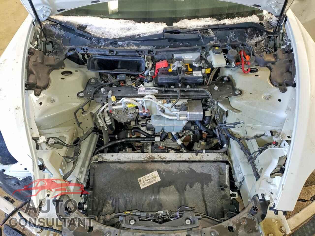 TESLA MODEL 3 2019 - 5YJ3E1EB0KF494010