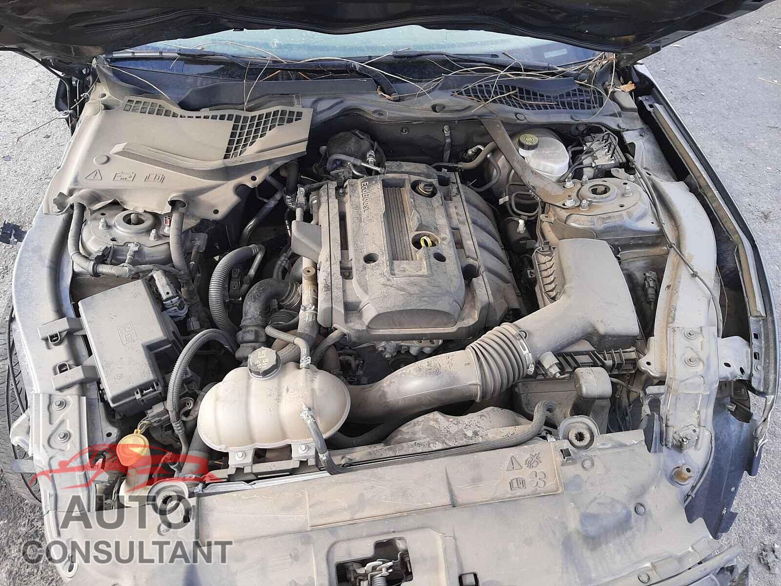 FORD MUSTANG 2019 - 1FATP8UH3K5153393