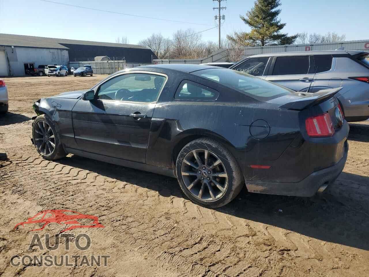 FORD MUSTANG 2011 - 1ZVBP8CF3B5170035