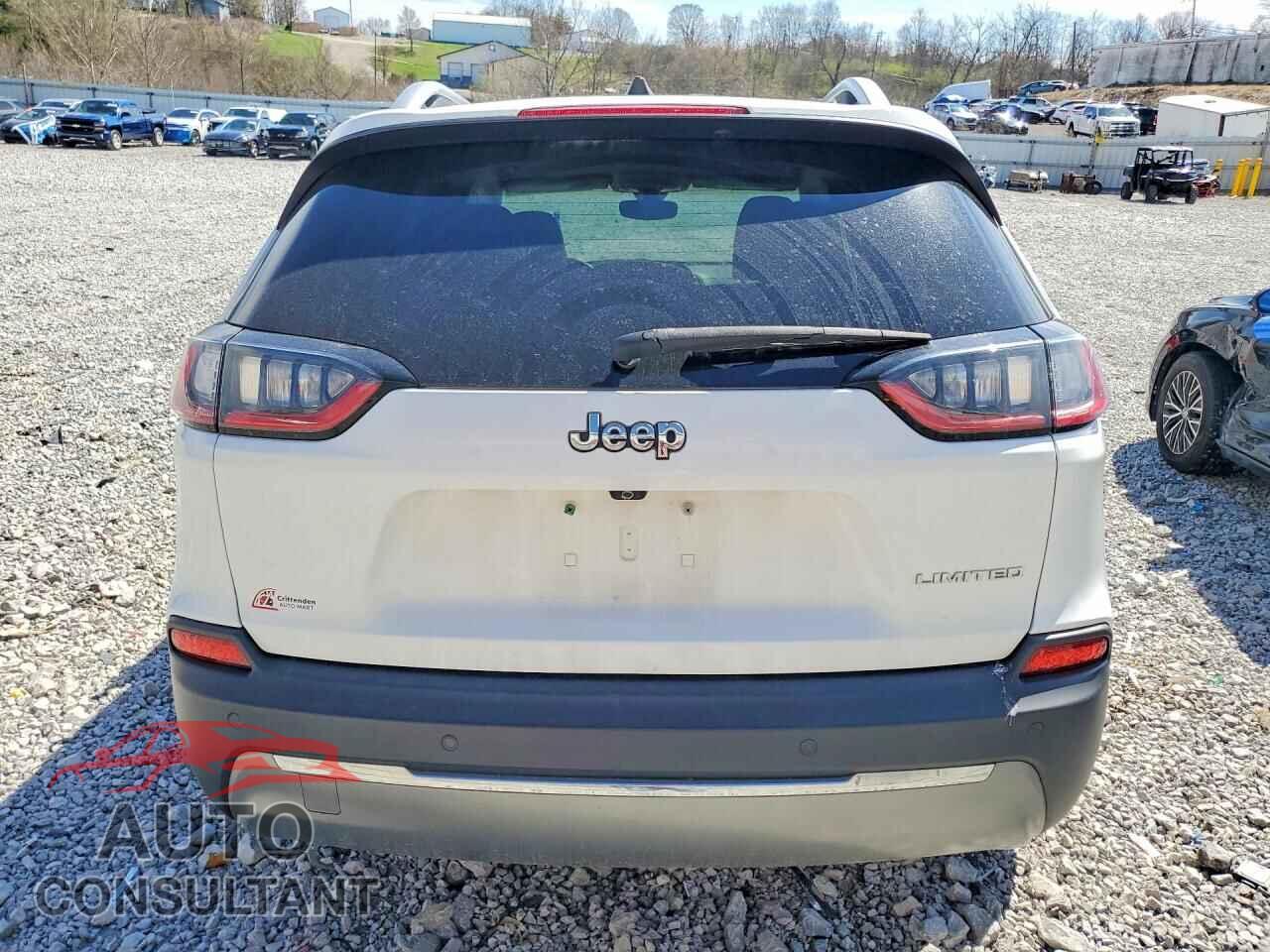 JEEP CHEROKEE 2019 - 1C4PJLDB1KD415929
