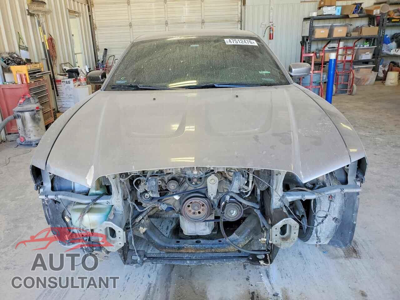 DODGE CHARGER 2013 - 2C3CDXCT9DH734898