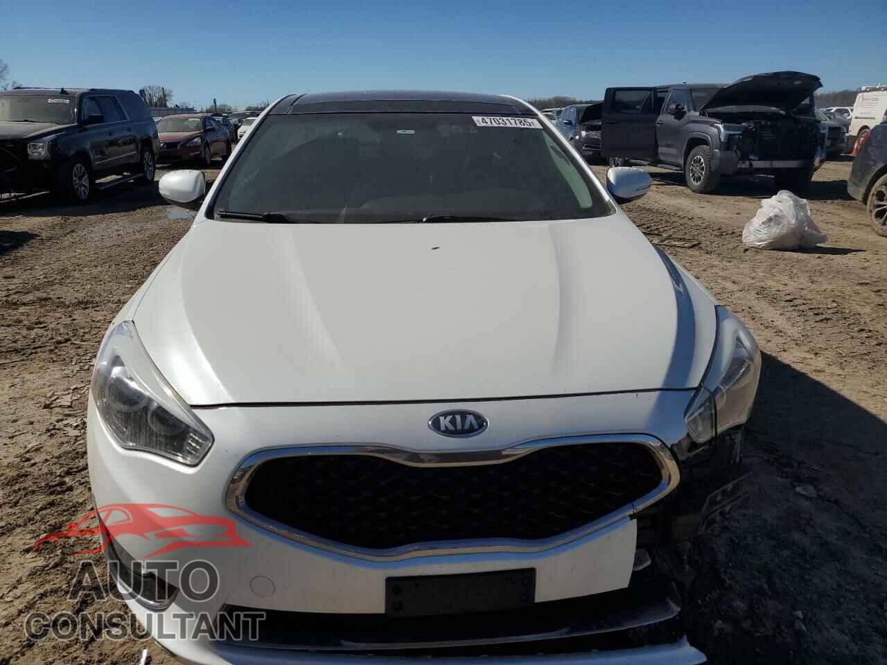 KIA CADENZA 2014 - KNALN4D7XE5152520
