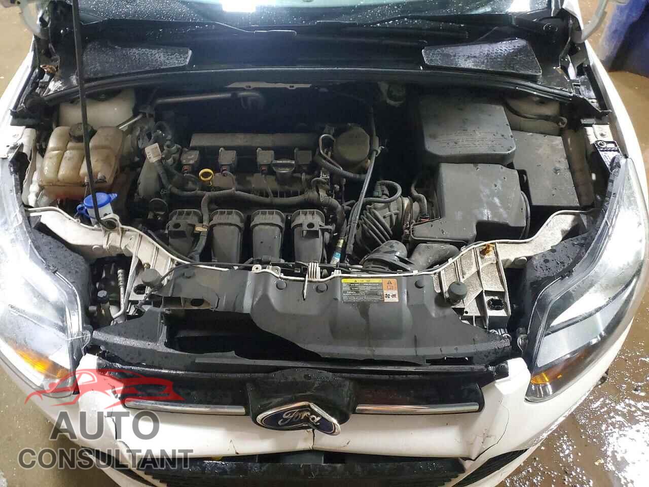 FORD FOCUS 2014 - 1FADP3N27EL192344