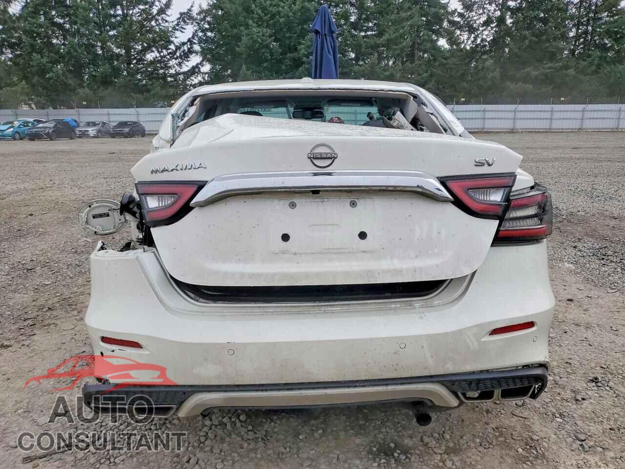 NISSAN MAXIMA 2023 - 1N4AA6CV1PC509234