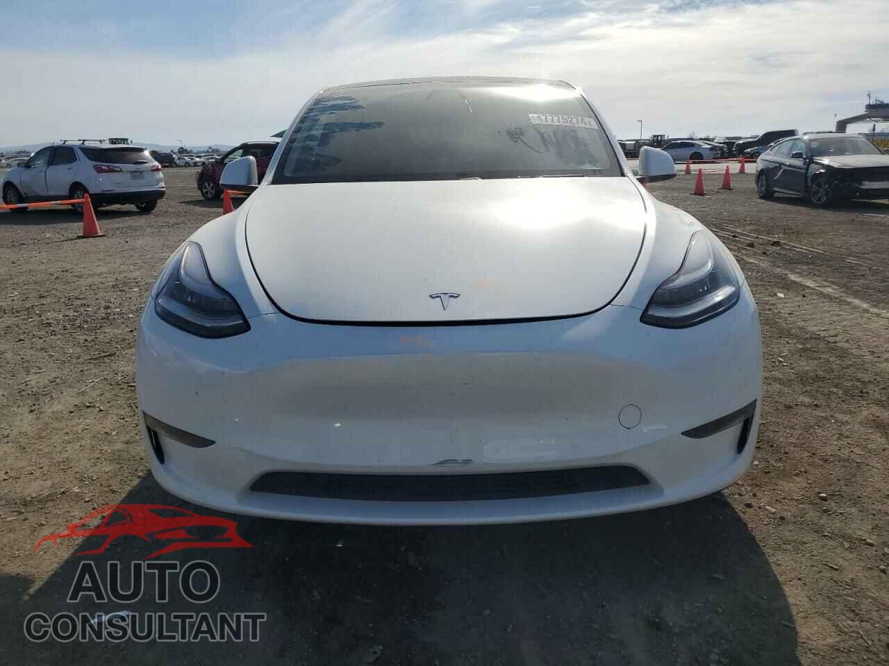 TESLA MODEL Y 2020 - 5YJYGDEEXLF046080