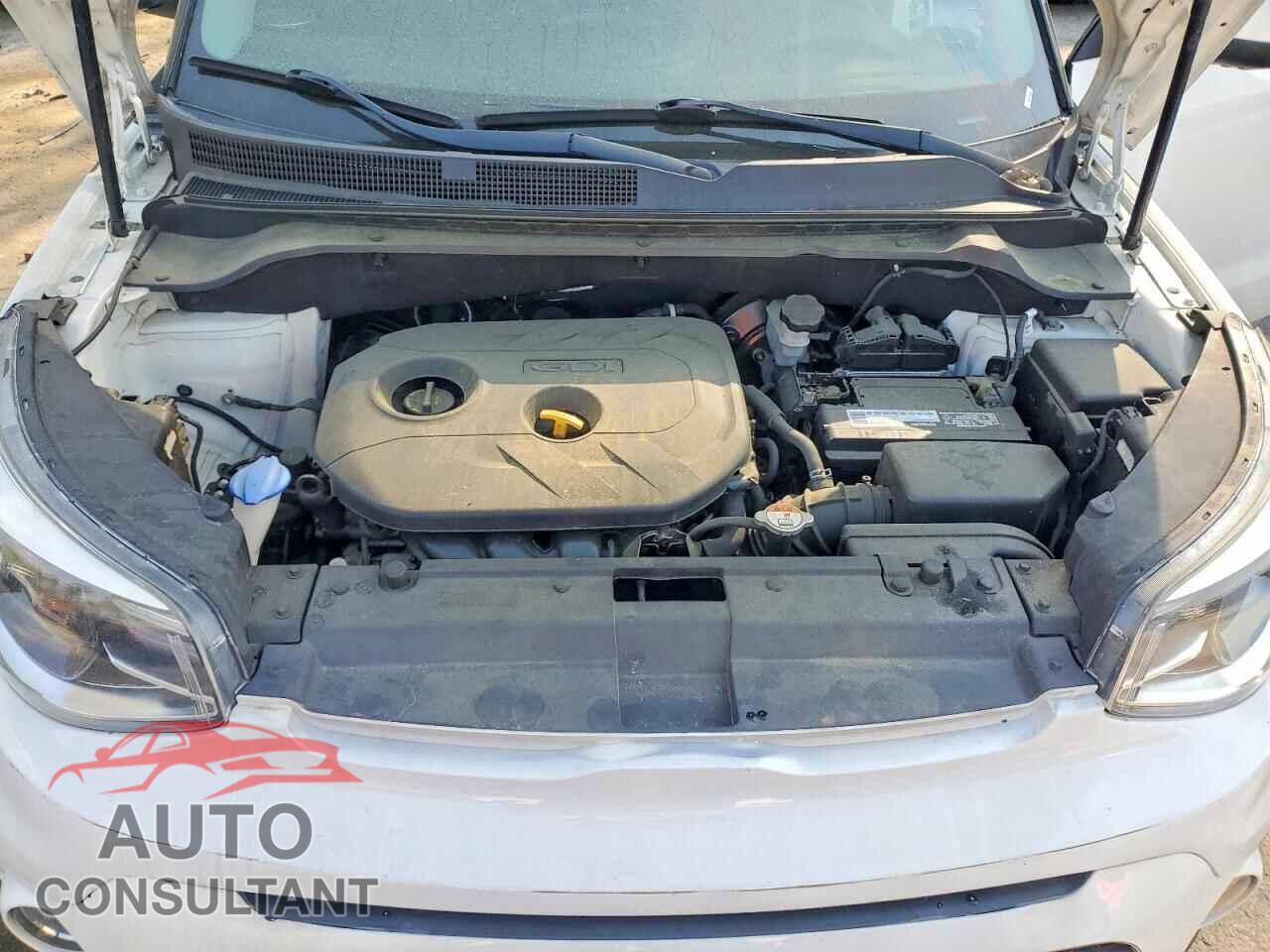 KIA SOUL 2019 - KNDJP3A59K7012377