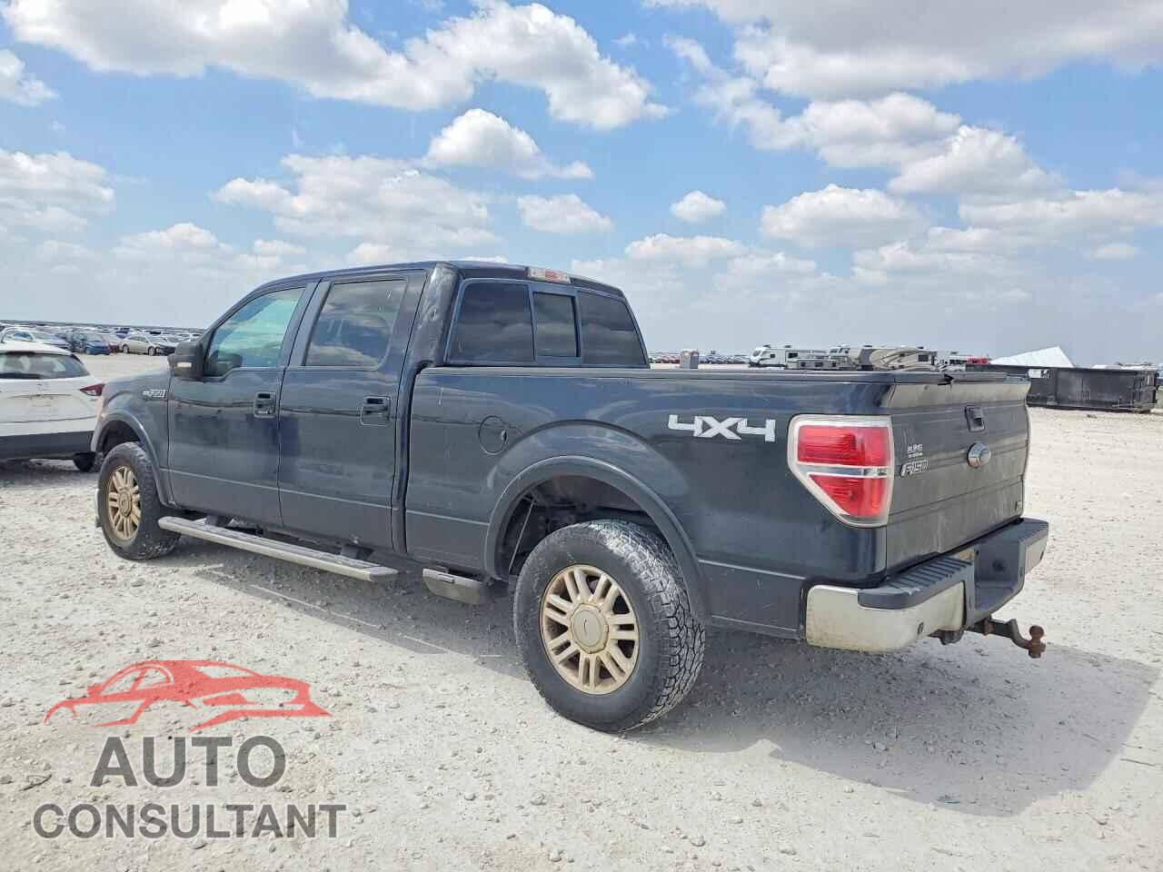 FORD F150 2010 - 1FTFW1EV3AFC20265