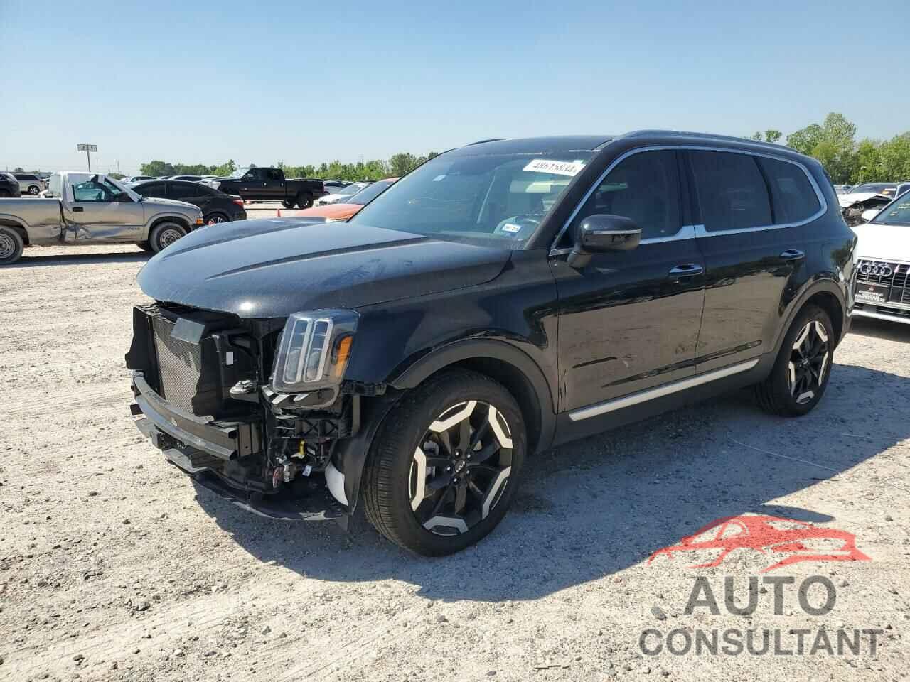 KIA TELLURIDE 2024 - 5XYP6DGC5RG412894