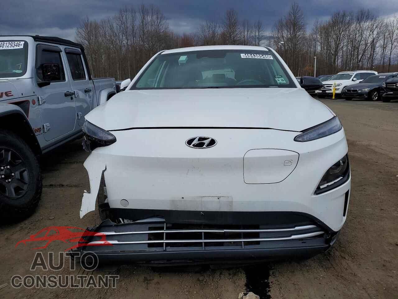 HYUNDAI UNKNOWN 2023 - KM8K23AG4PU191971